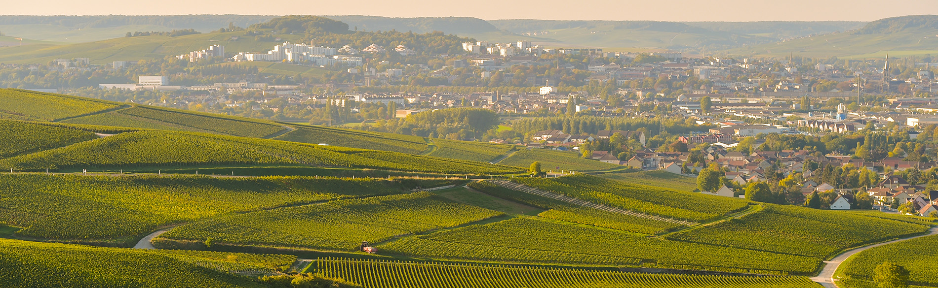 Champagne Ard’aines Bourgogne